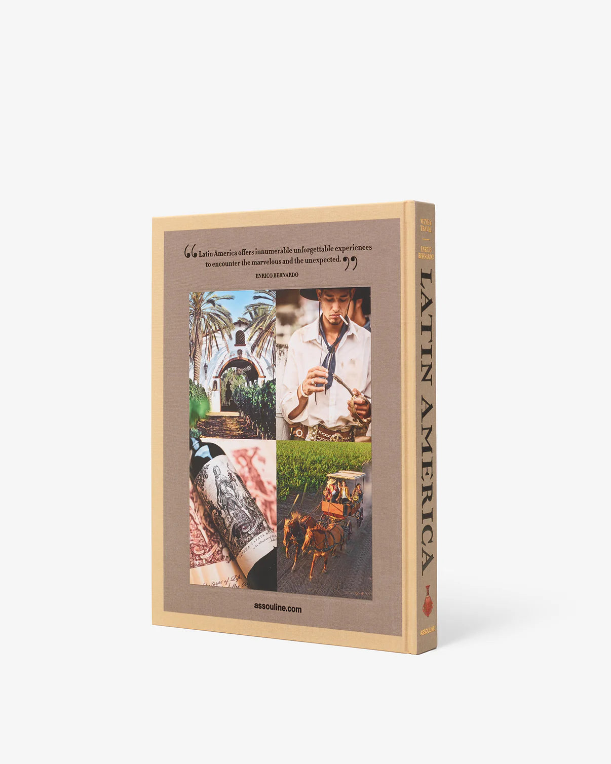 Latin America Wine and Travel