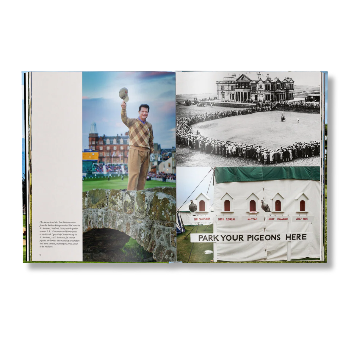 The Stylish Life Golf