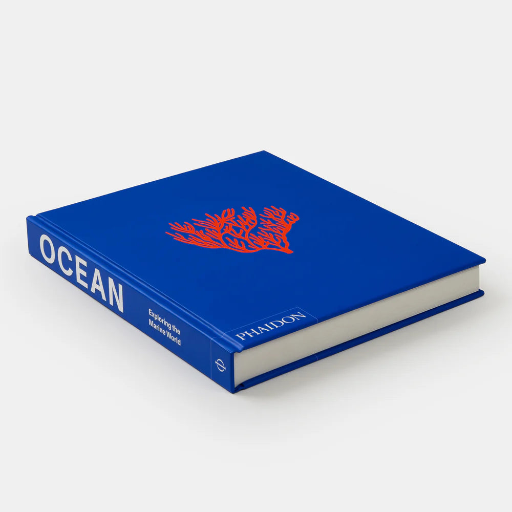 Ocean