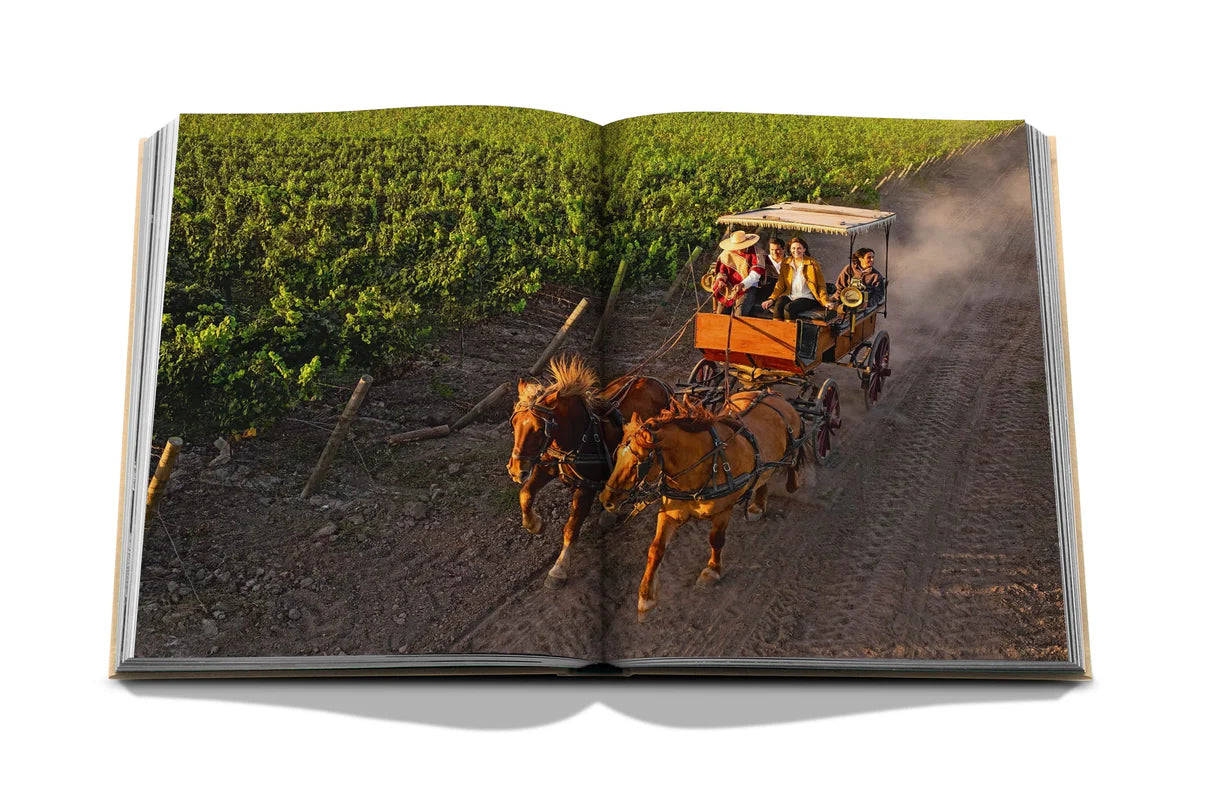 Latin America Wine and Travel