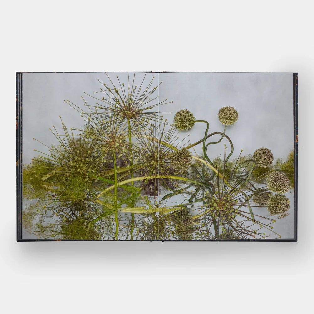 Flowers Emily Thompson