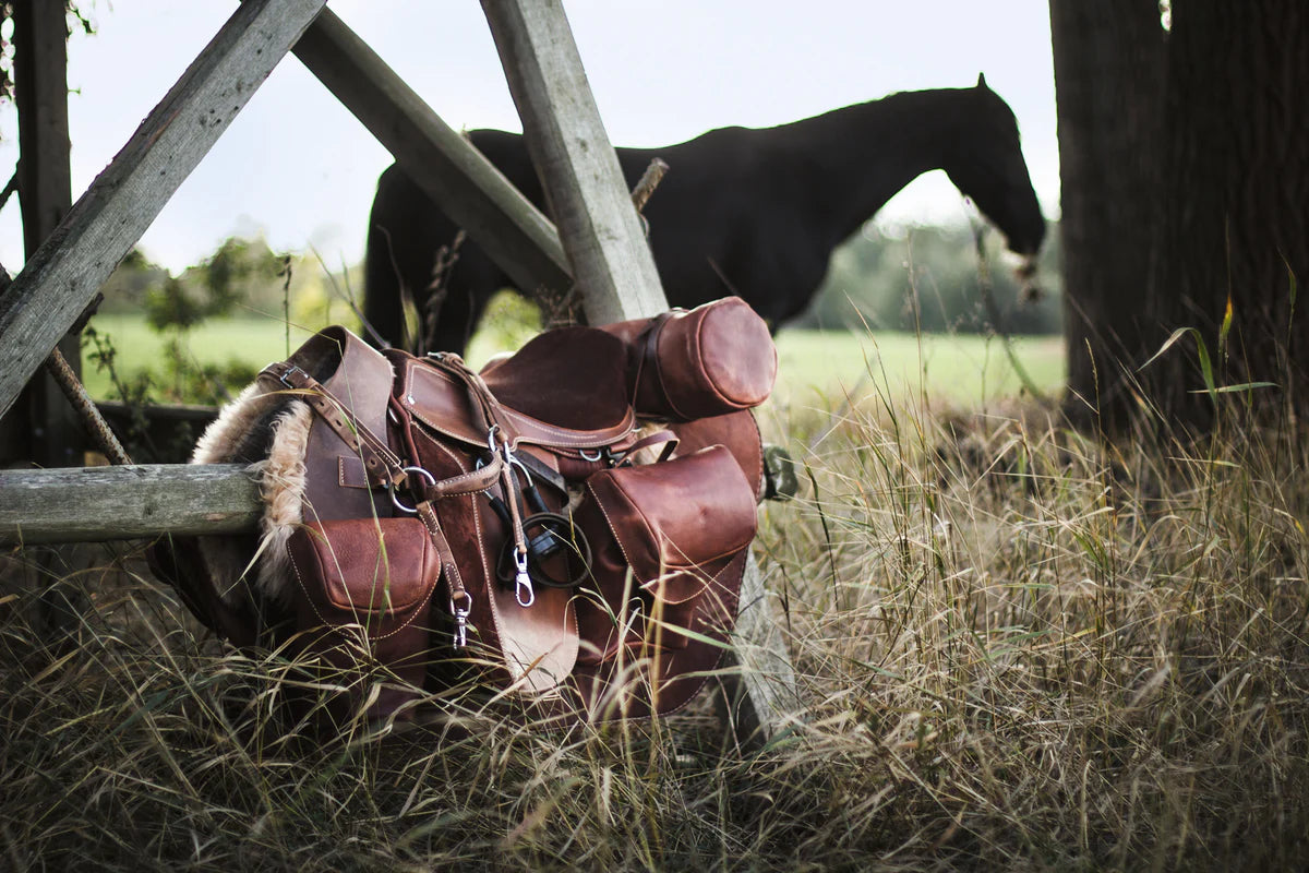 The Ultimate Book Equestrian