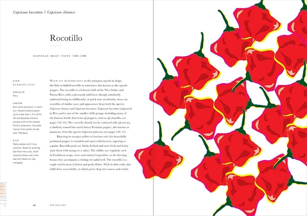 An anarchy of Chillies