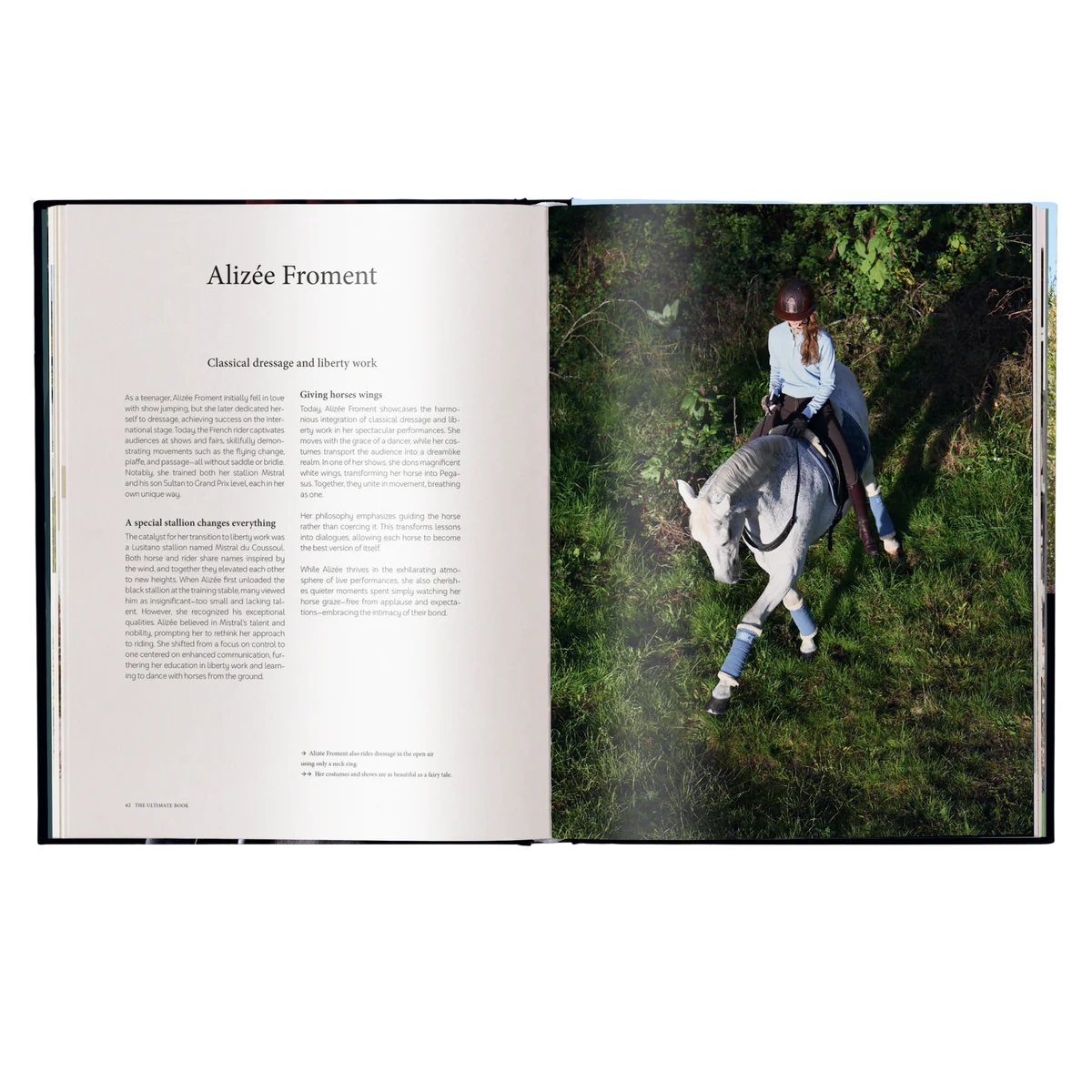 The Ultimate Book Equestrian