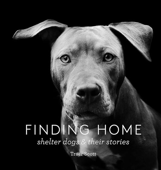 Finding home