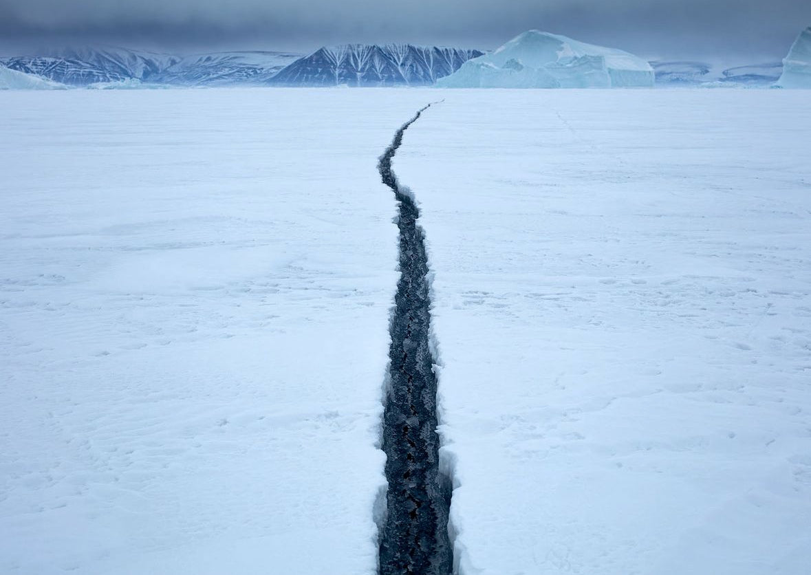 The arctic