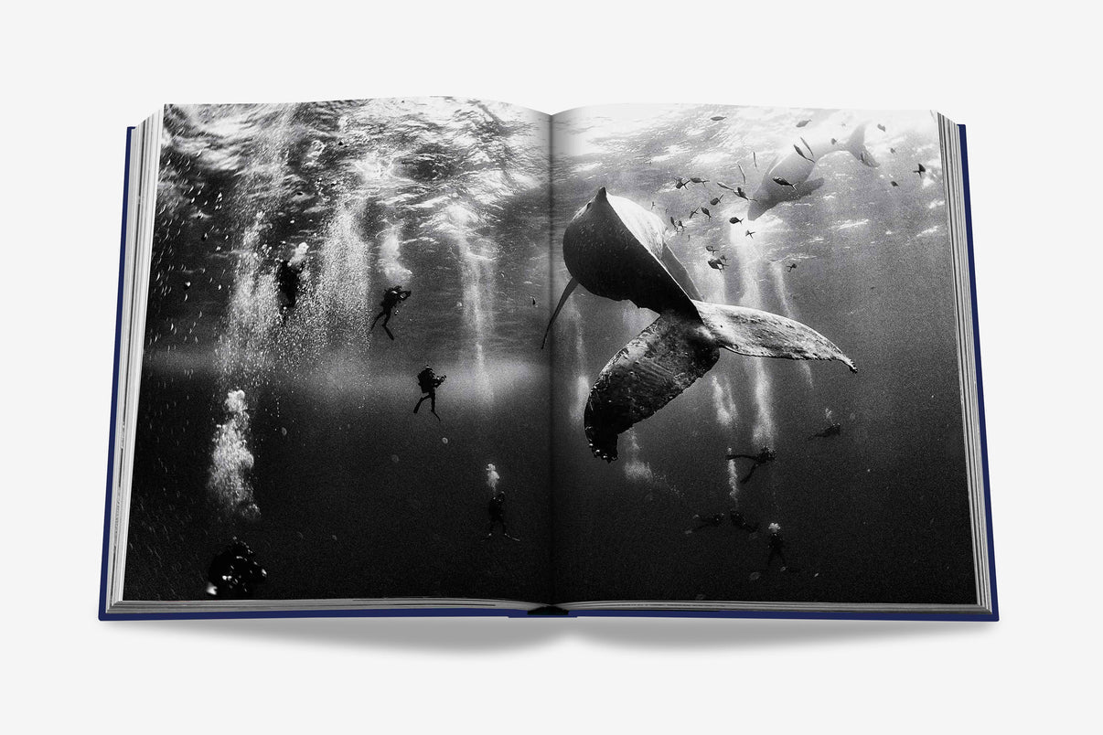 Ocean