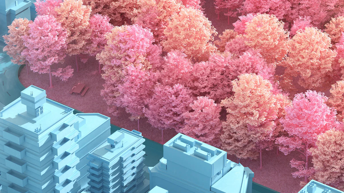 Dreamscapes