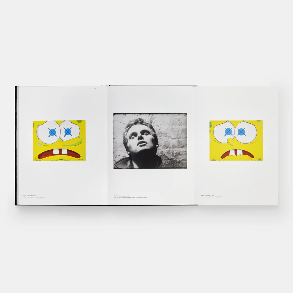 Kaws + Warhol