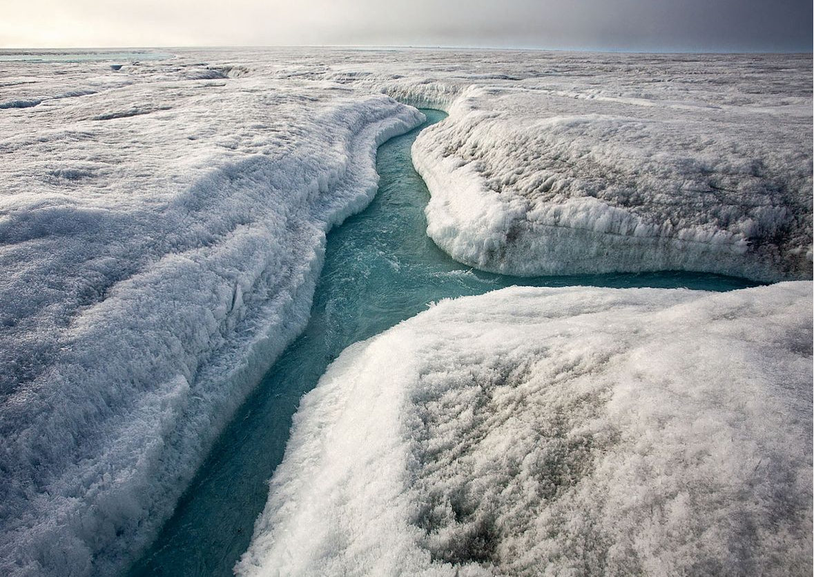 The arctic