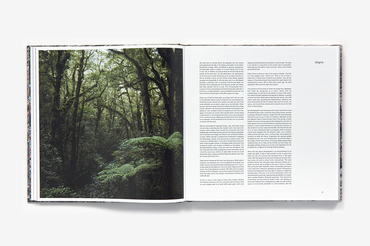 The life and love of the forest