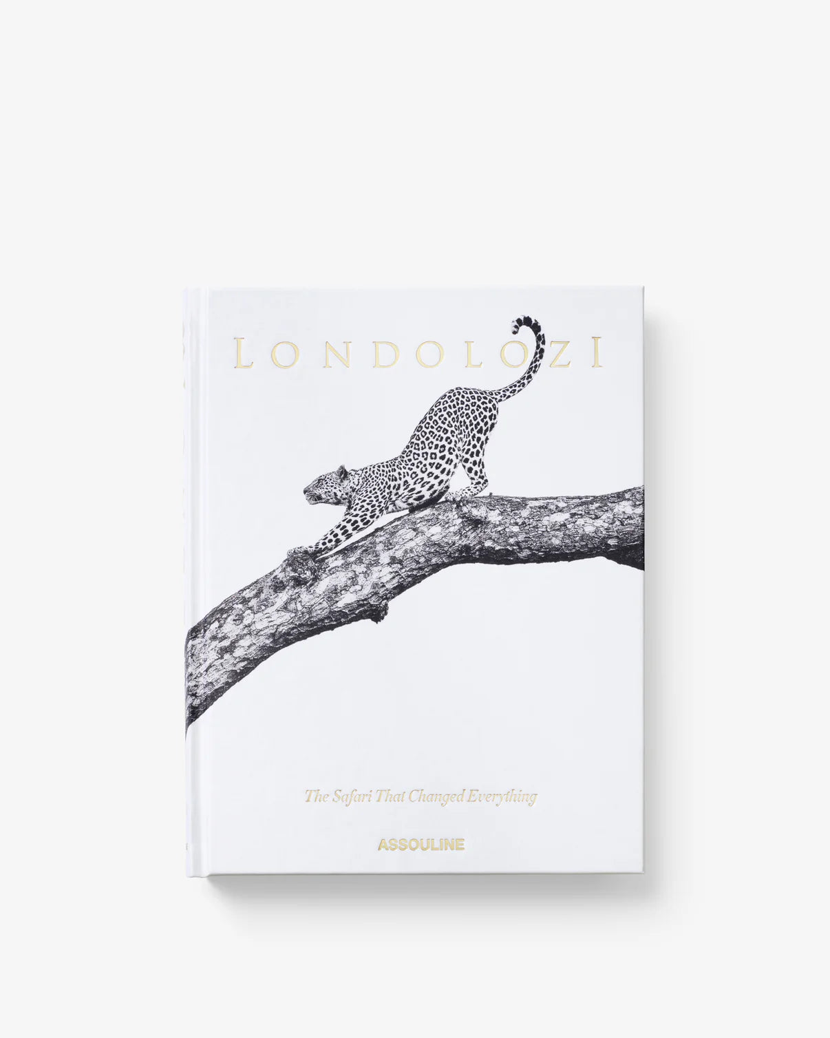 Londolozi