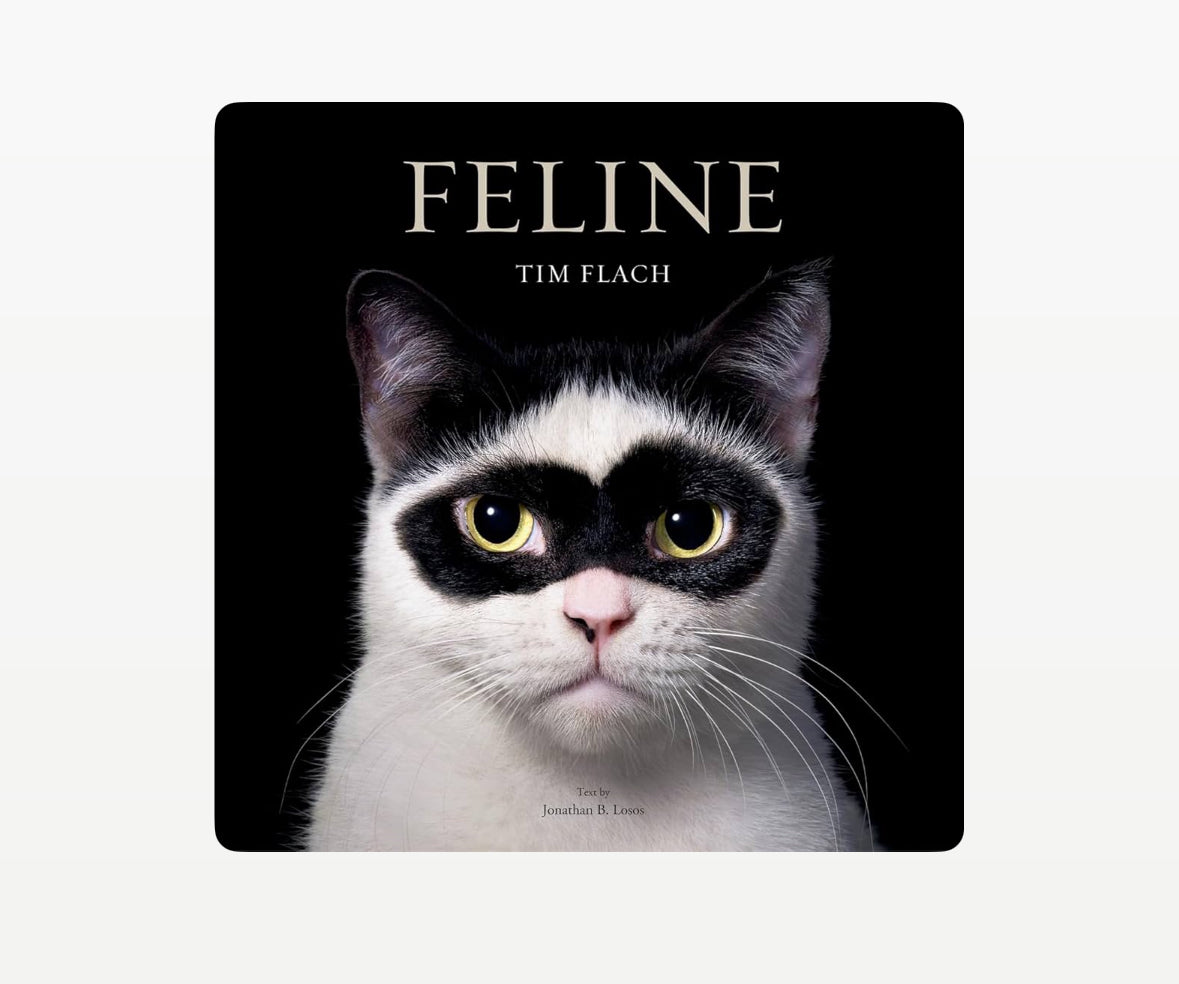 Feline