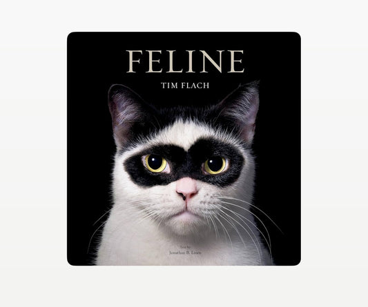 Feline