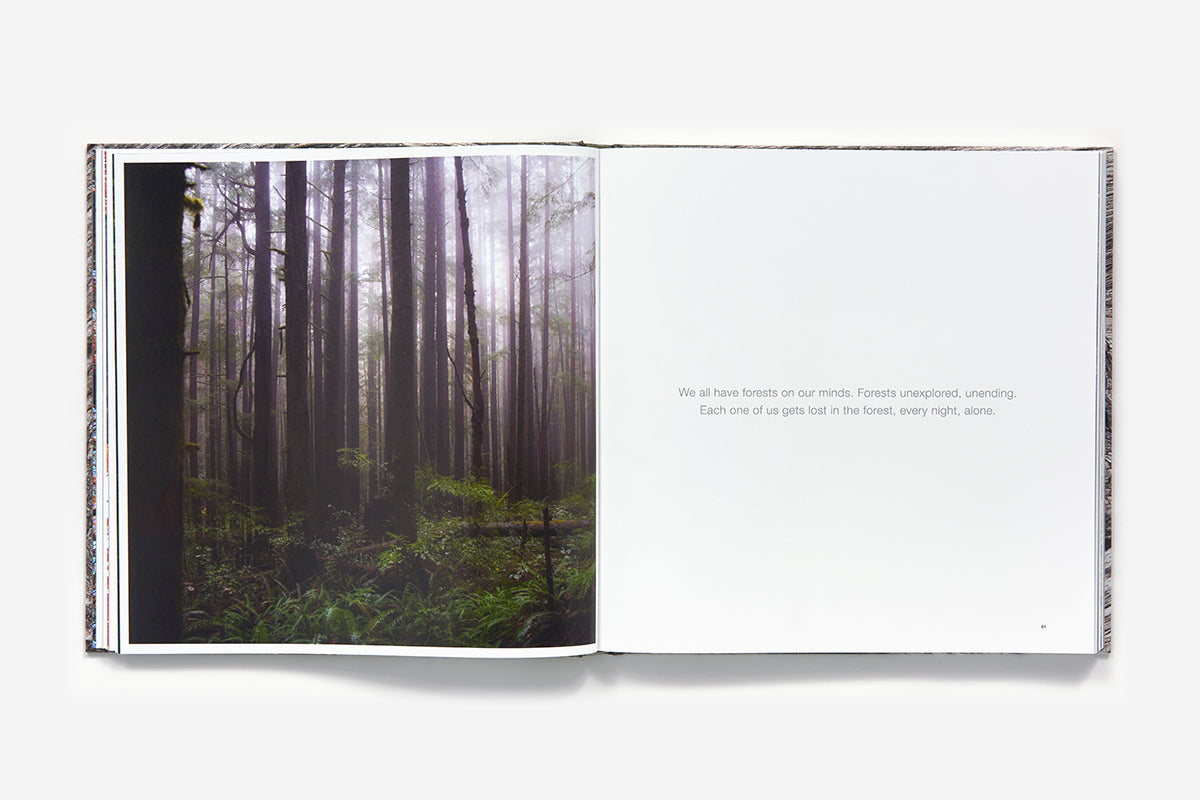The life and love of the forest