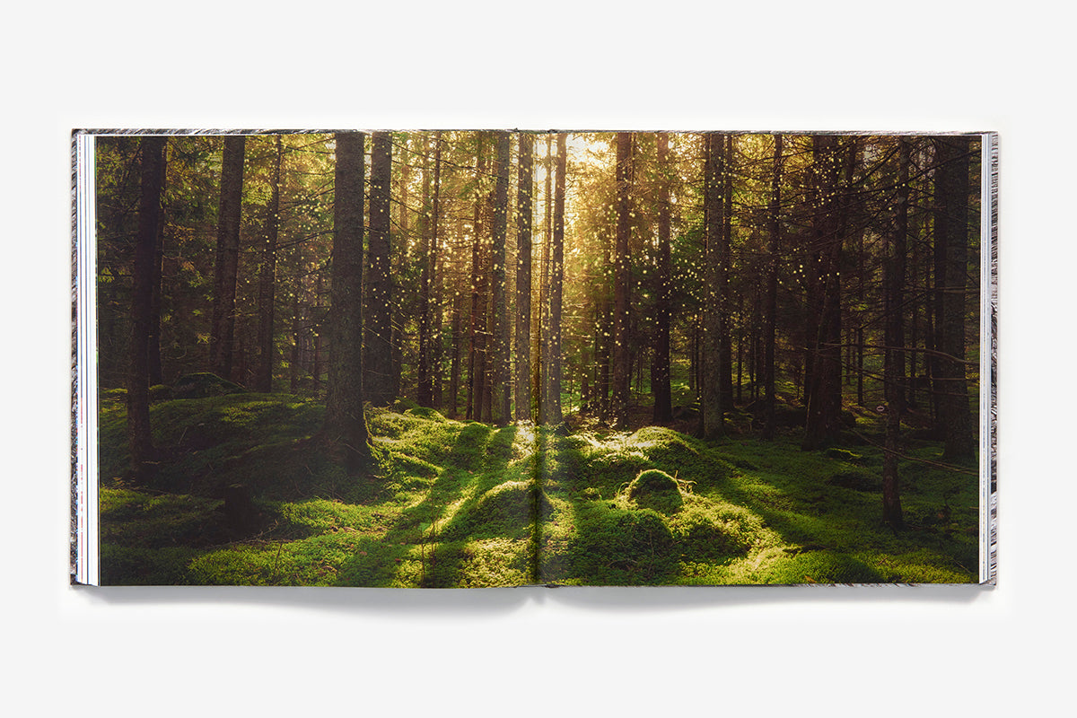 The life and love of the forest