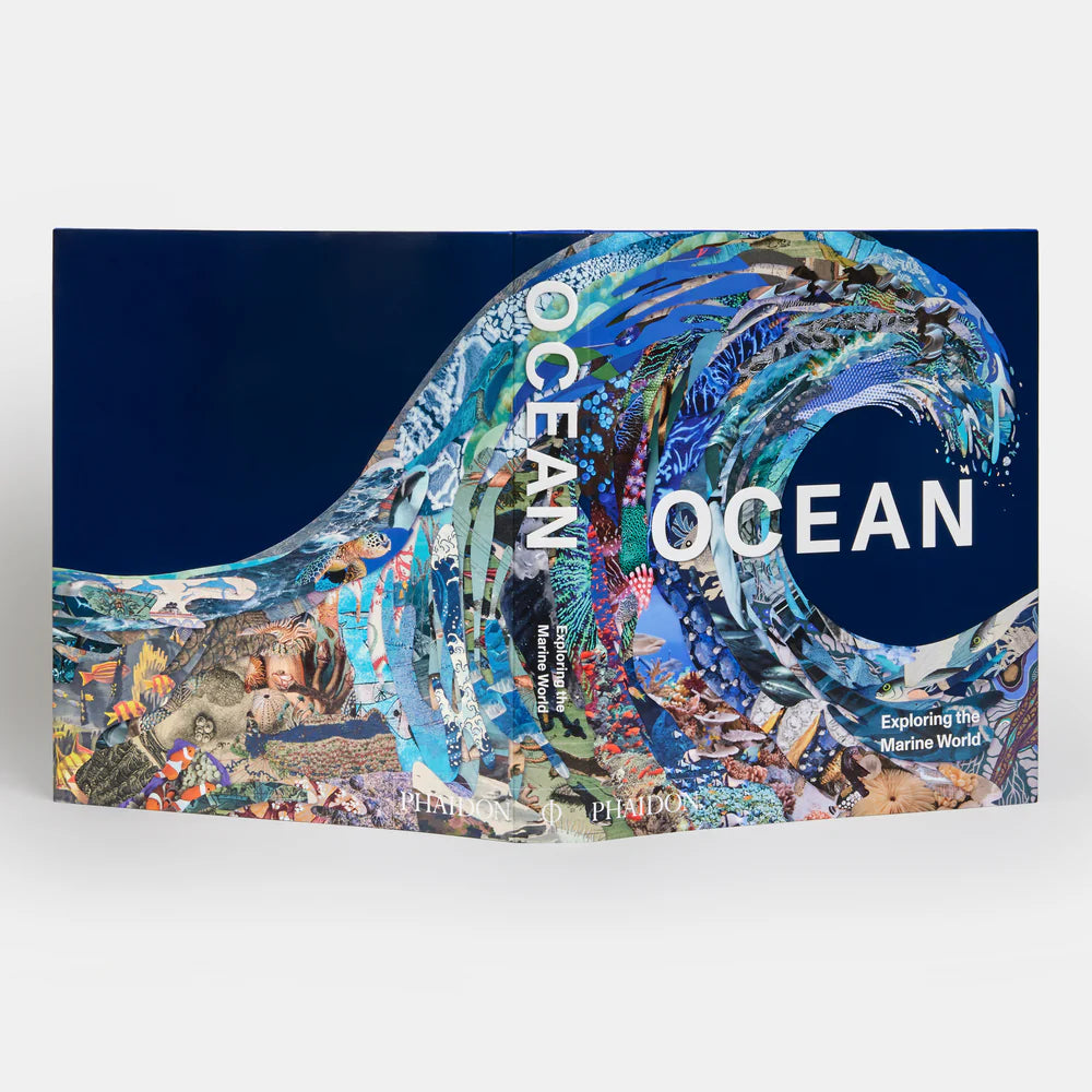 Ocean