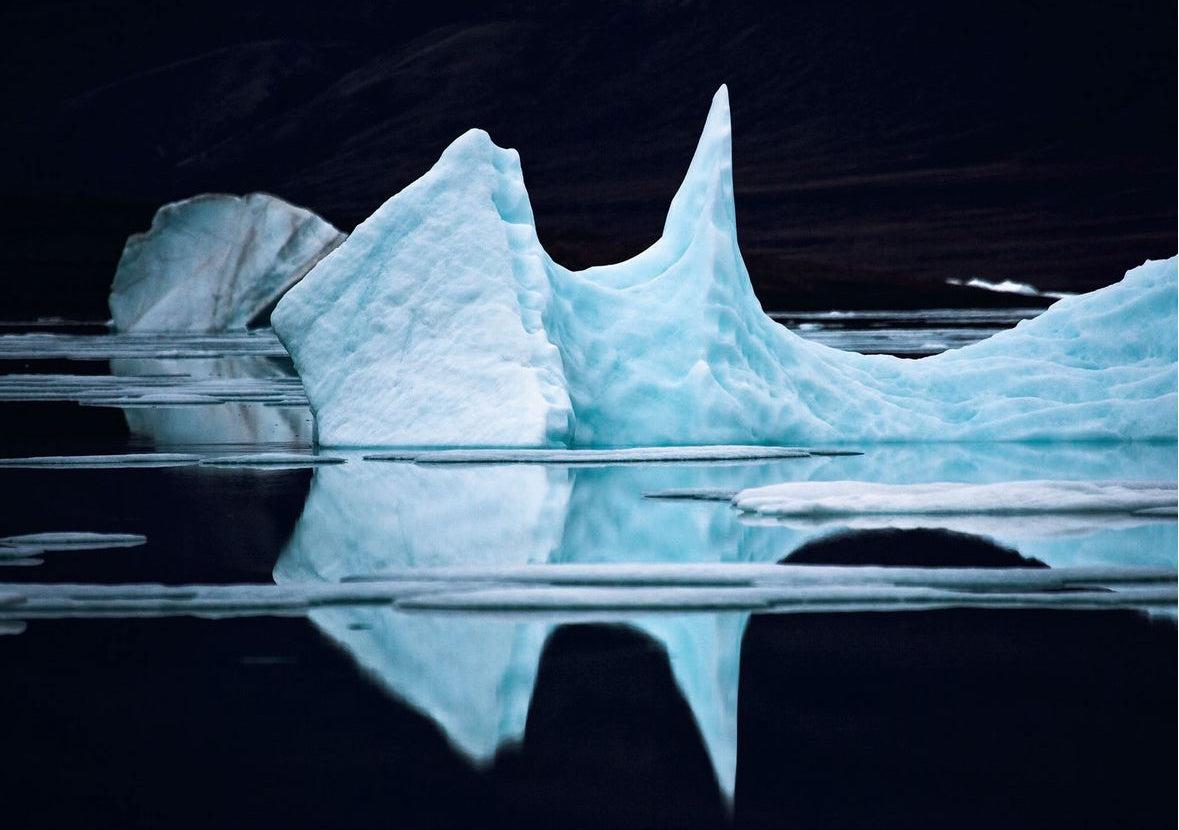 The arctic