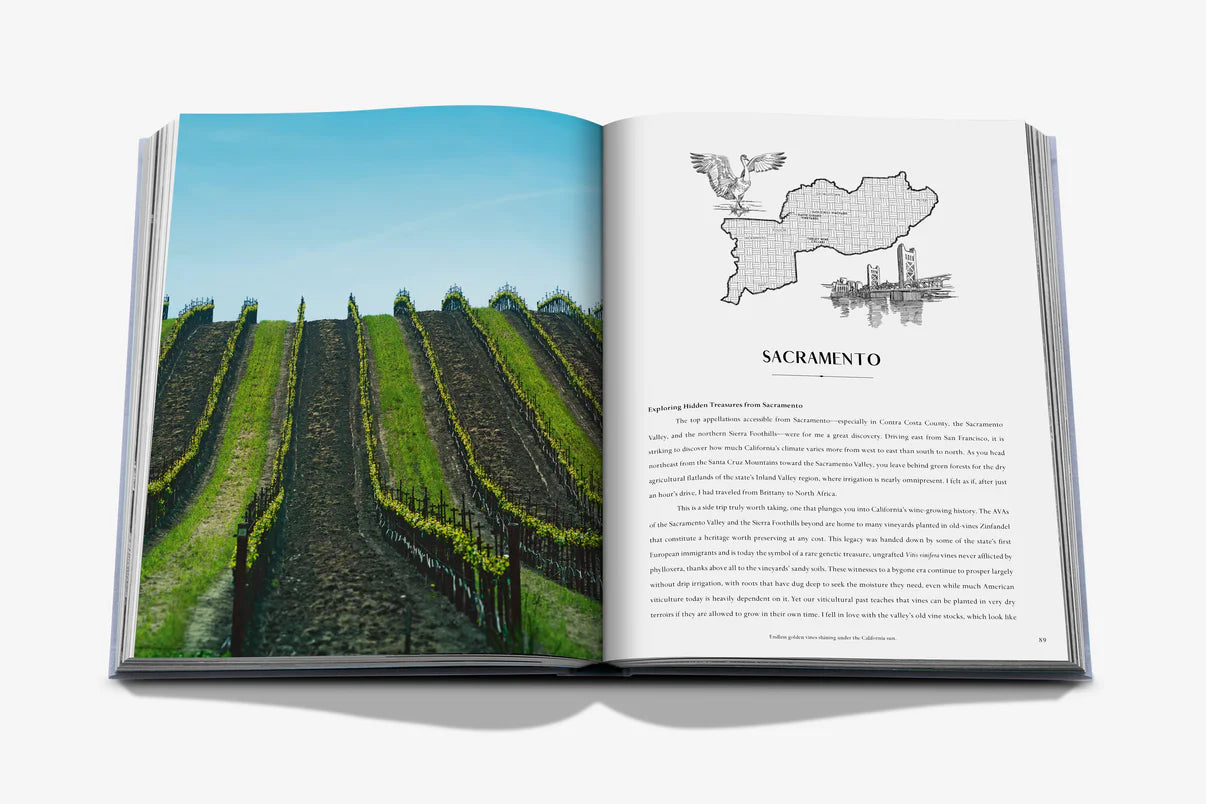 United States Wine & Travel